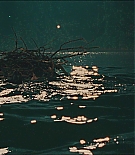 418.jpg