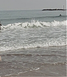 ALC-SIL672.jpg