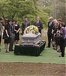 ALC-SIL754.jpg