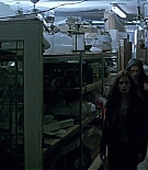 alc-mortal0424.jpg