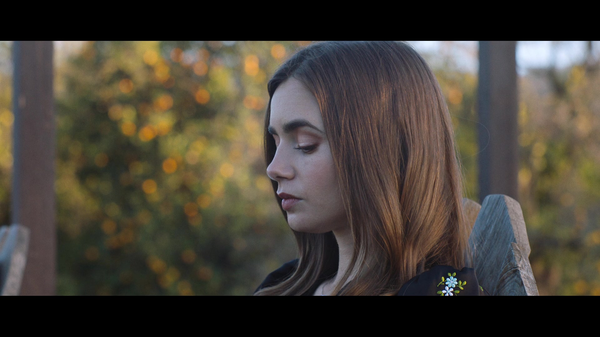 ALC-Windfall142.jpg