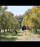 ALC-Windfall078.jpg