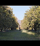 ALC-Windfall080.jpg
