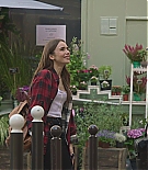 ALC101-112.jpg