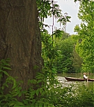 ALC101-114.jpg